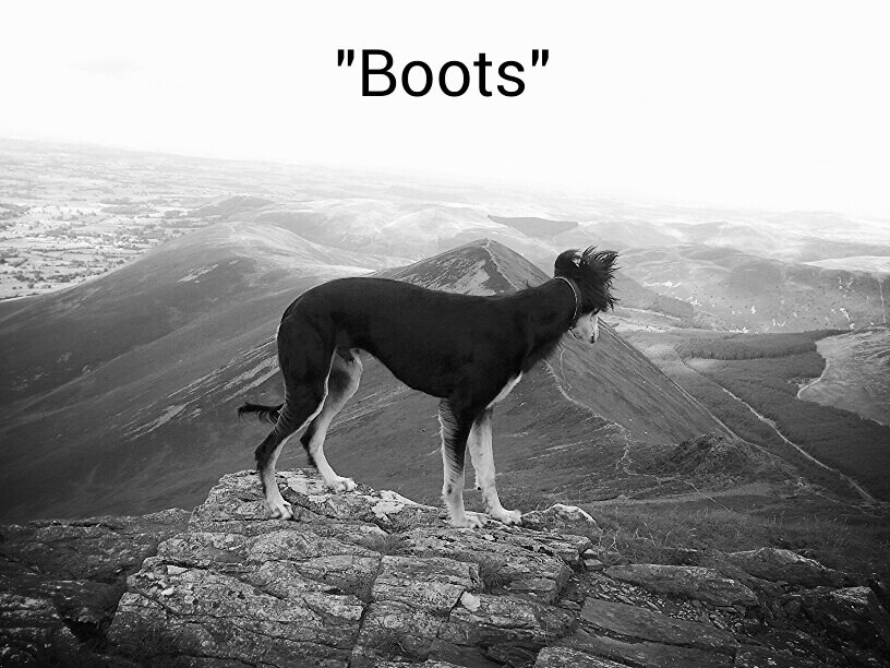 "Boots"