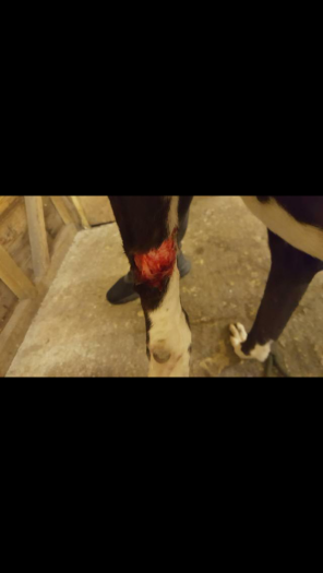 post-104088-0-39855900-1477005495_thumb.png