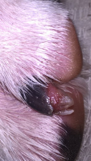 post-59917-0-31492800-1450722960_thumb.png