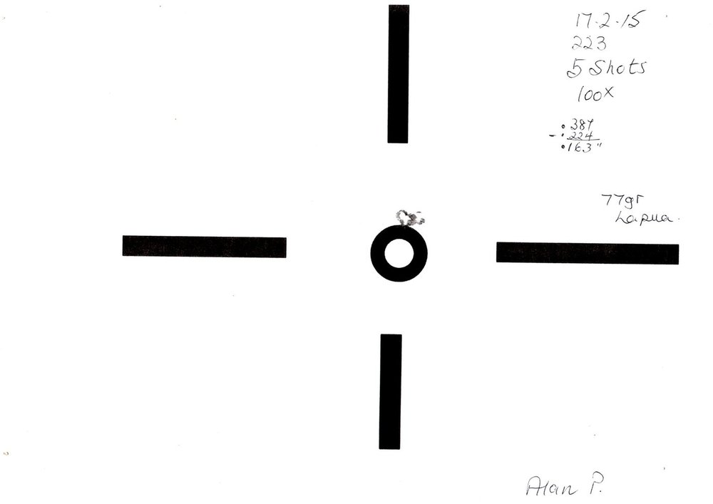 Alan P 100yds .223.jpg