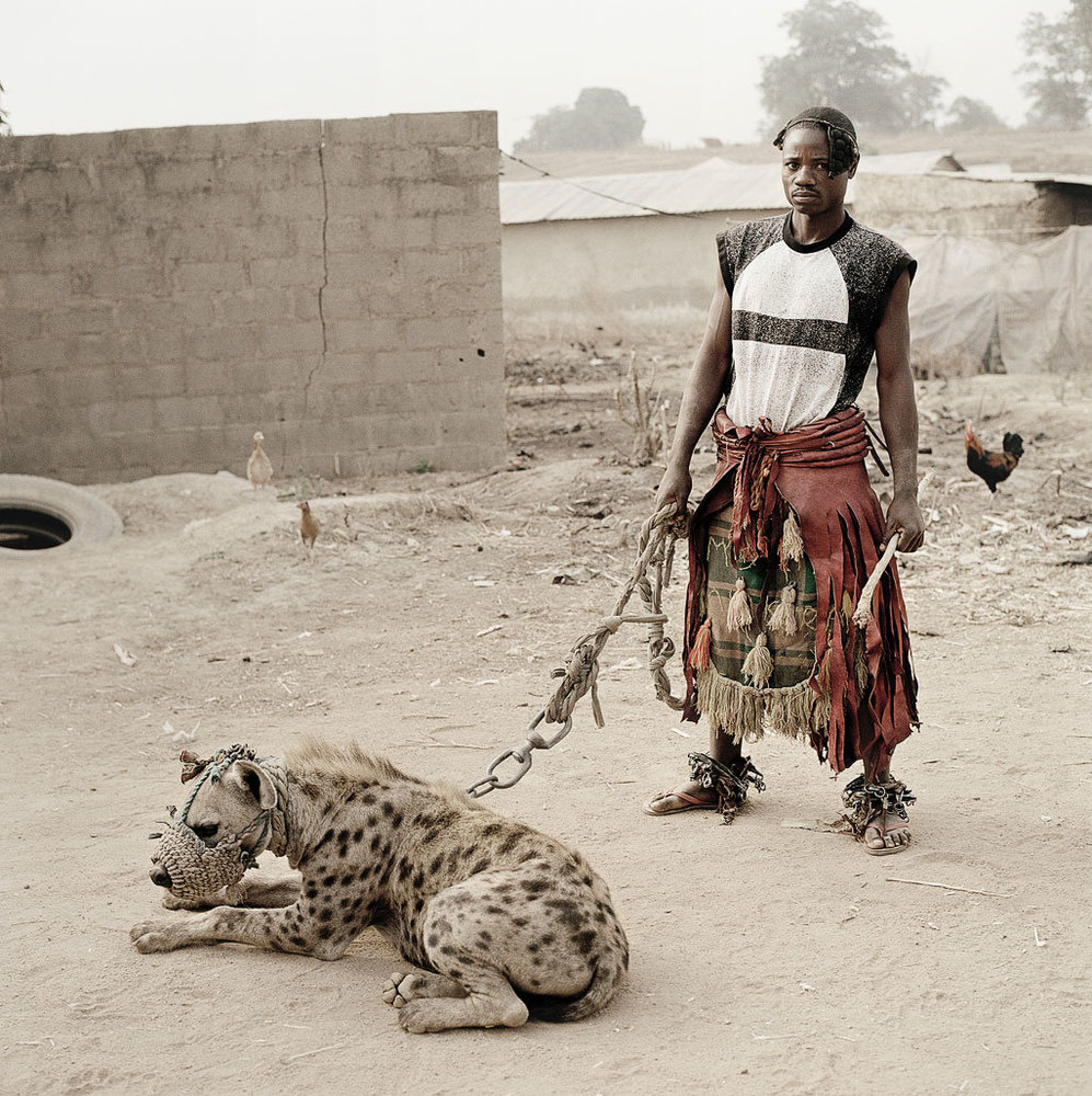 nigerianpet20hyena.jpg