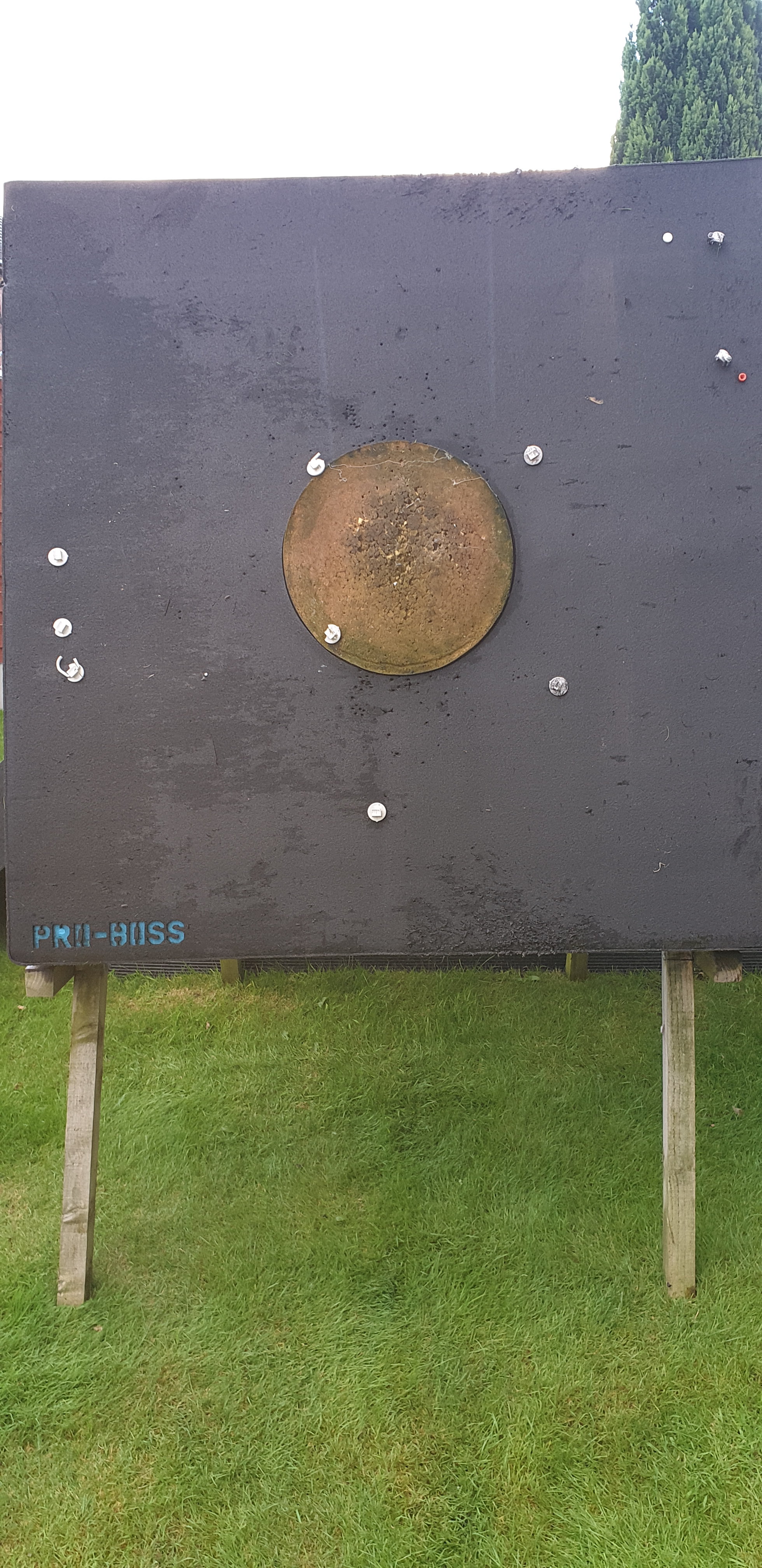 PRO BOSS  archery targets