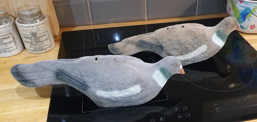 Pigeon decoys