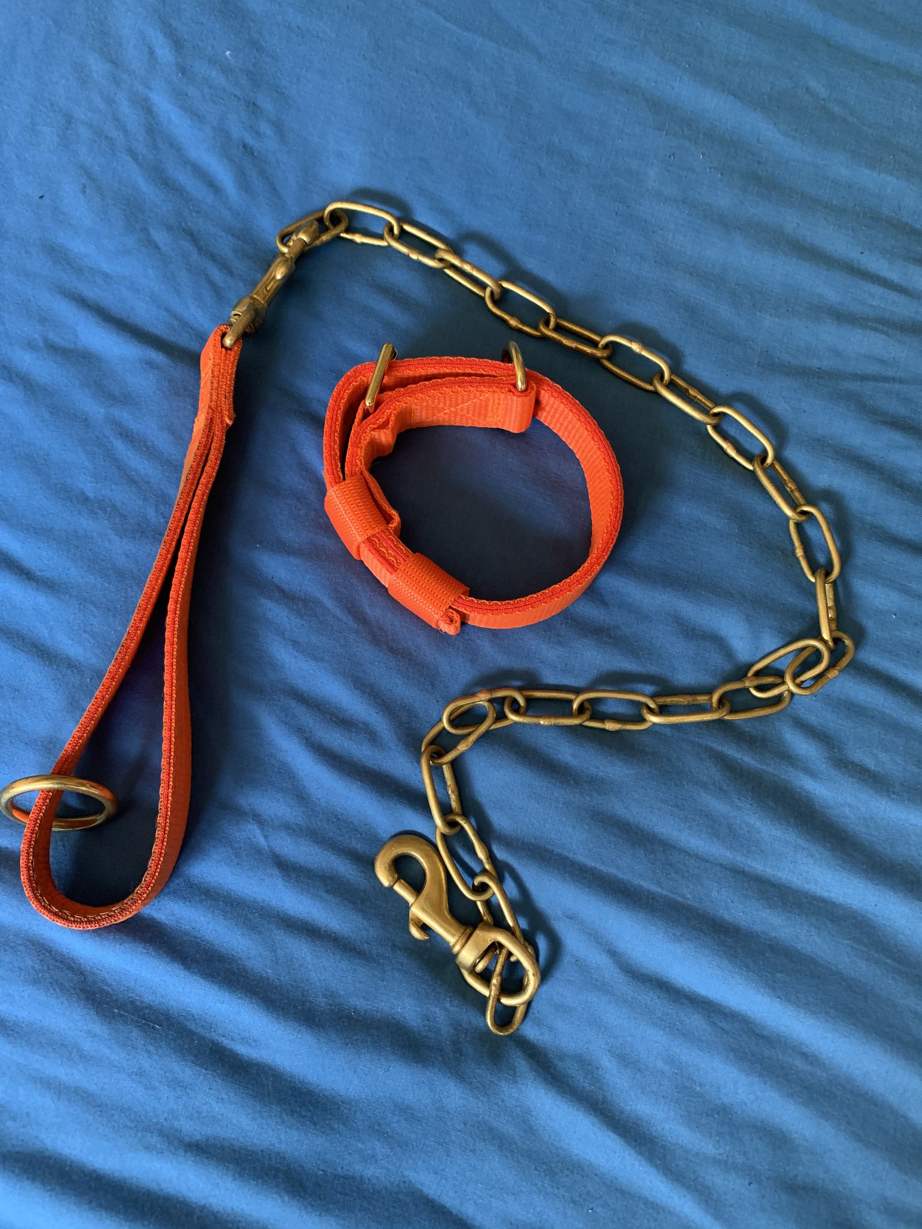 Strong stuff collar and bf chain lead