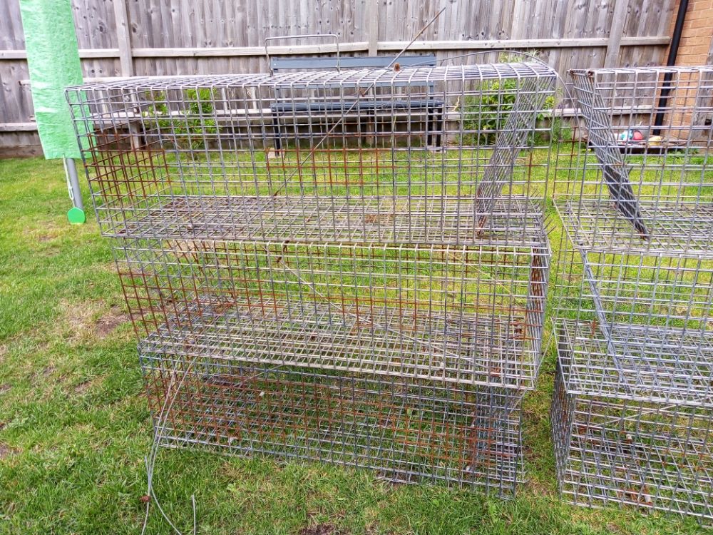 KC75 Rabbit cage traps. X 6 Number.