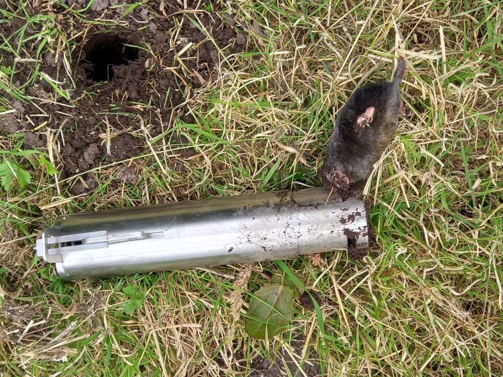 Vole trap Topcat