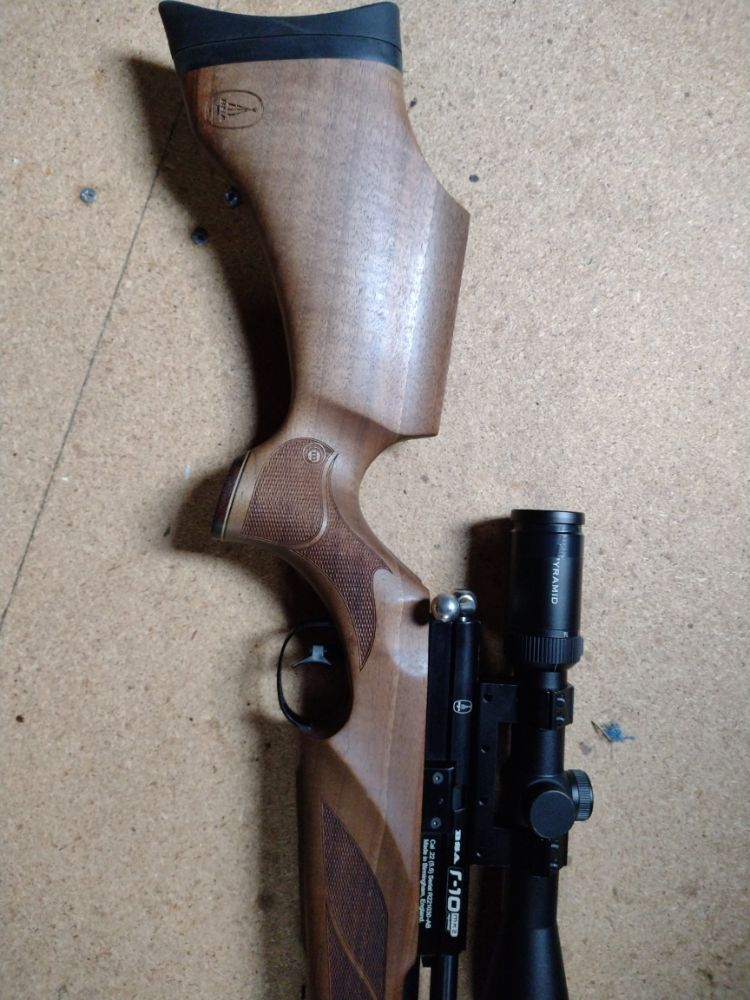 .22 BSA R10 carbine