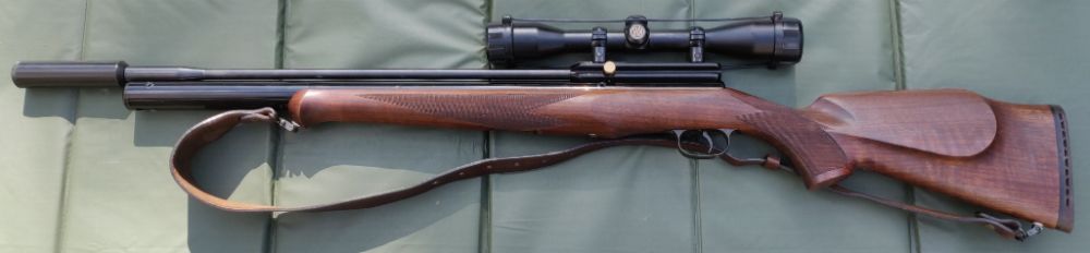 RWS Rapier .22