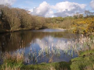 Flight Pond