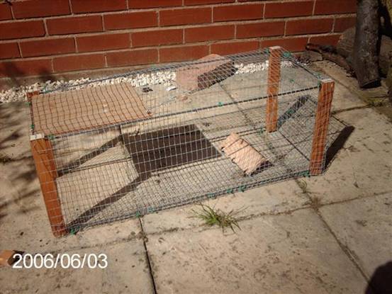 https://www.thehuntinglife.com/wp-content/uploads/2014/03/Rabbit-Cage-Trap.jpg
